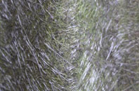 Pewsey Wharf fibreglass roof work